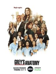 Анатомия Грей / Анатомия страсти (19 сезон) / Greys Anatomy (2022)