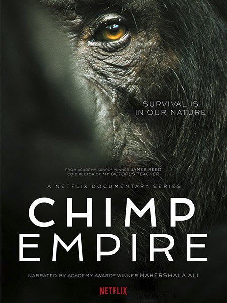 Империя шимпанзе (1 сезон) / Chimp Empire (2023) WEB-DLRip