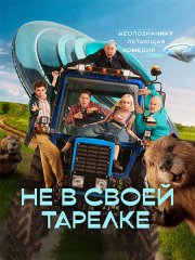 Не в своей тарелке (2026) WEB-DLRip